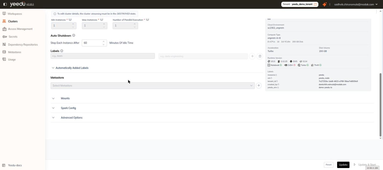 Cluster Configuration tab, lower half: Instances, Auto Shutdown, Labels, Metastore, Mounts, Spark Config and Advanced Options