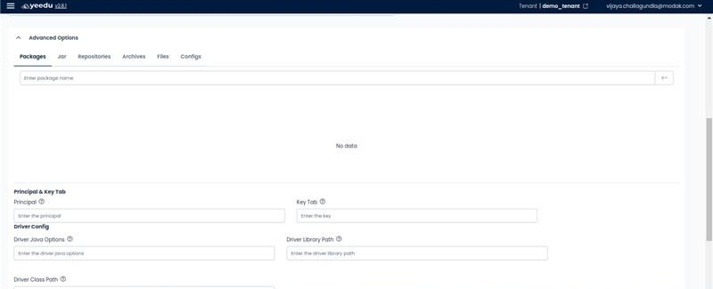 job-config-advanced-options